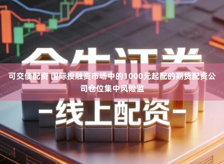 可交债配资 国际投融资市场中的1000元起配的期货配资公司仓位集中风险监