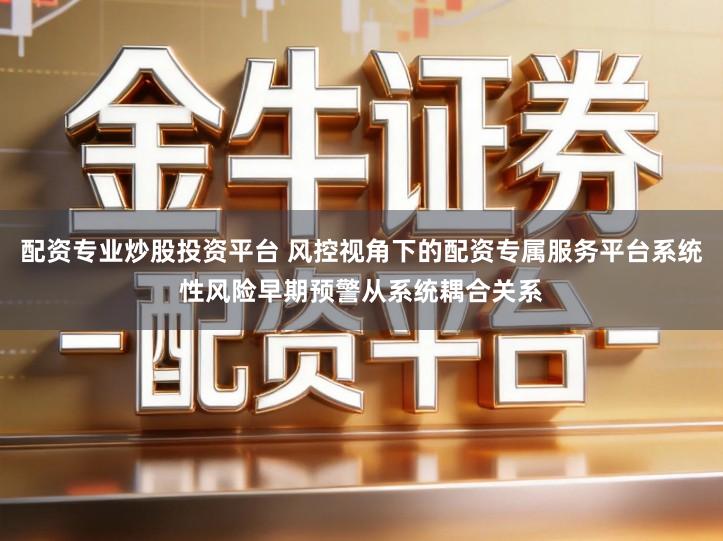 配资专业炒股投资平台 风控视角下的配资专属服务平台系统性风险早期预警从系统耦合关系